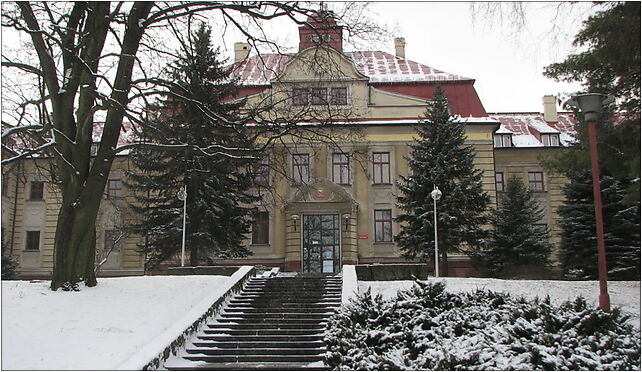 Cieszyn - Silesian University - faculties in Cieszyn, Bielska 62 43-400 - Zdjęcia