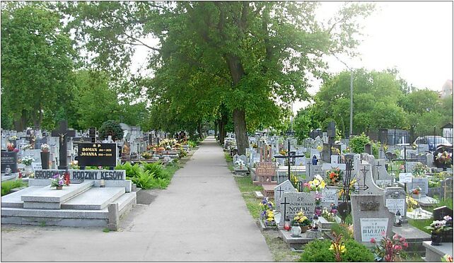 Cm NMPNP w Bydg - widok 1, Żwirki Franciszka i Wigury Stanisława 85-310 - Zdjęcia