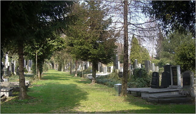 Cmentarz żydowski Bielsko-Biała - Aleja Zasłużonych 43-300 - Zdjęcia