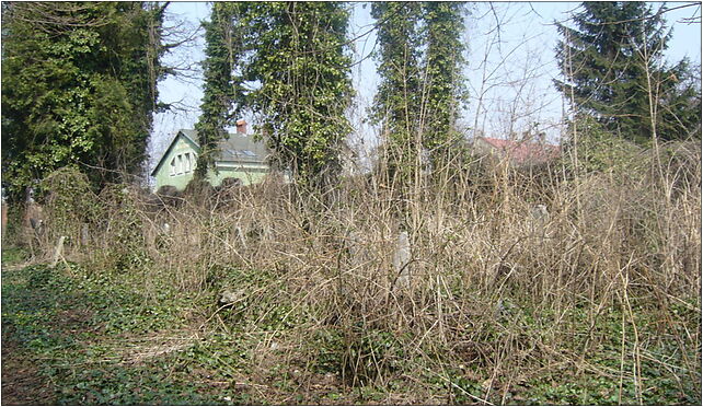 Cmentarz żydowski Bielsko-Biała - sektor D, Bielsko-Biała 43-300 - Zdjęcia