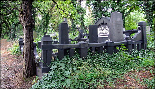 Cmentarz żydowski w Zabrzu63, Cmentarna 15, Zabrze 41-800 - Zdjęcia