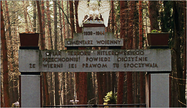 Cmentarz warzycki las 1, Potok, Potok 38-200 - Zdjęcia