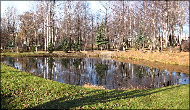 Dąbrowa Górnicza (Wywierzyska)-staw, Kozubka 1, Dąbrowa Górnicza 42-530 - Zdjęcia