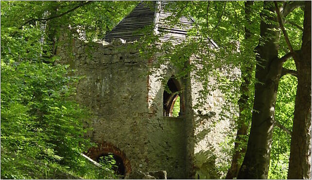 Daisy Lake, Poland, 2-13585, Witoszów Górny, Witoszów Górny 58-100 - Zdjęcia