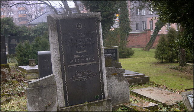 David Schmeidler grave, Cieszyńska 92, Bielsko-Biała 43-300 - Zdjęcia