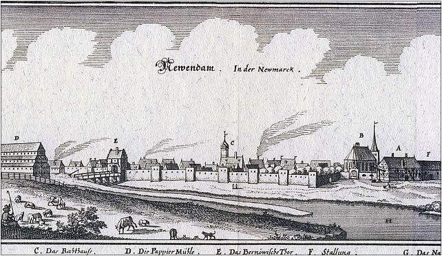 Debno Merian, Mickiewicza Adama 2, Dębno 74-400 - Zdjęcia