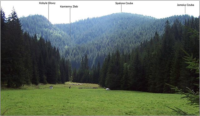 Dolina Huciańska T 58, Chochołowska, Chochołowska 34-511 - Zdjęcia