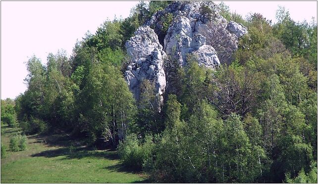 Dolina Szklarki a5, Żary - Zdjęcia