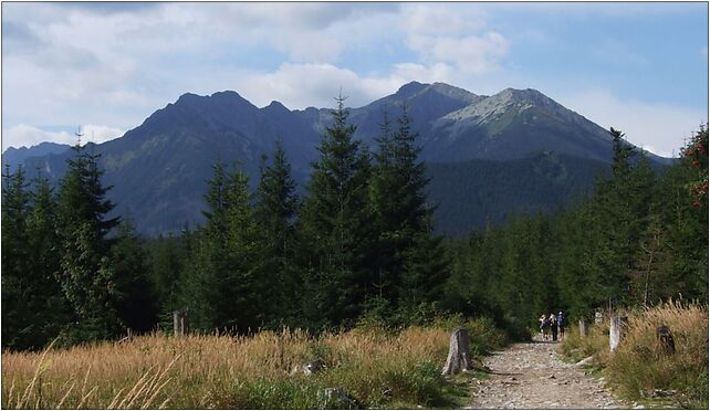 Dolina Waksmundzka a3, Hala Gąsienicowa, Zakopane 34-500 - Zdjęcia
