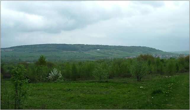 Domaniówka (Pasmo Masłowskie), Leśna, Masłów Pierwszy 26-001 - Zdjęcia