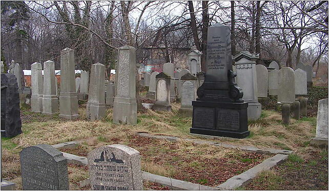 Dzierzoniow kirkut, Bielawska384 18, Dzierżoniów 58-200 - Zdjęcia