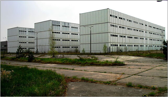 EJ Żarnowiec - szatniowce, Leśna, Kartoszyno 84-110 - Zdjęcia