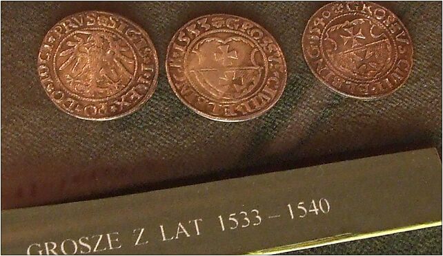 Elbląg, muzeum, groše z 16 století, Bulwar Zygmunta Augusta 11 82-300 - Zdjęcia