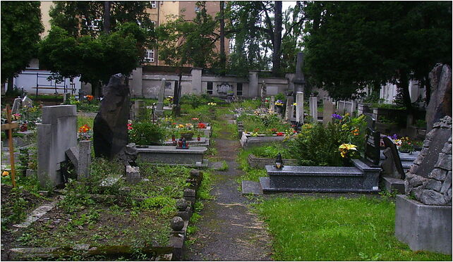 Evangelical Cemetery in Bielsko-Biała (Piłsudkiego) 2 43-300 - Zdjęcia