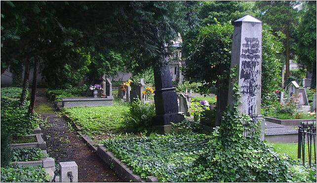 Evangelical Cemetery in Bielsko-Biała (Piłsudkiego) 5 43-300 - Zdjęcia