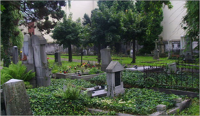 Evangelical Cemetery in Bielsko-Biała (Piłsudkiego) 6 43-300 - Zdjęcia
