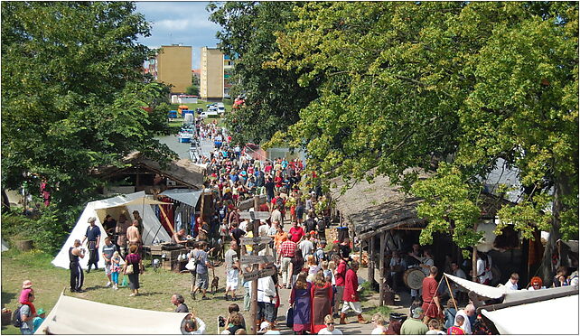 Festiwal Słowian i Wikingów 2009 25, Zamkowa, Sułomino 72-510 - Zdjęcia