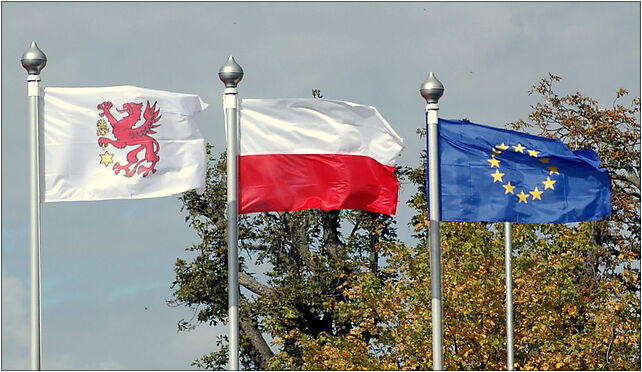 Flaga Wolina, Polski i Unii, Świerczewskiego, Wolin 72-510 - Zdjęcia