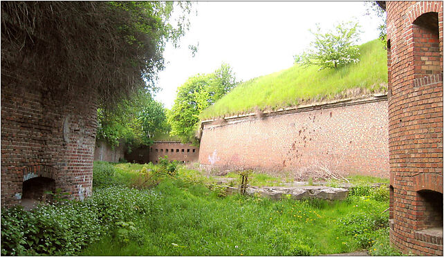 Fort Szaniec Jezuicki 2, Kolonia Anielinki 26, Gdańsk 80-046 - Zdjęcia