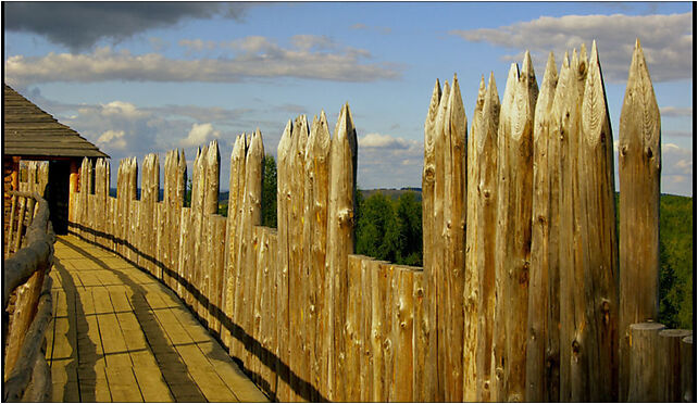 Fragment palisady zrekonstruowanego grodu na Górze Birów 42-440 - Zdjęcia