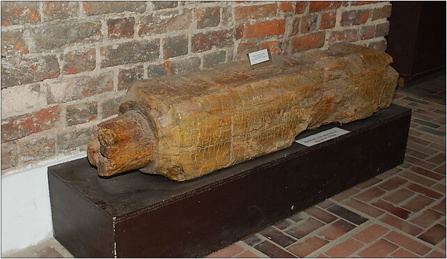 Gniew drewniana armata, Zamkowa, Gniew 83-140 - Zdjęcia