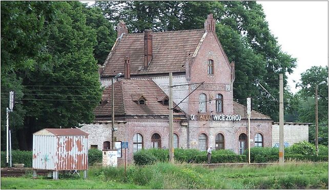 Goczalkowice zdroj railway station, Parkowa, Goczałkowice-Zdrój 43-230 - Zdjęcia