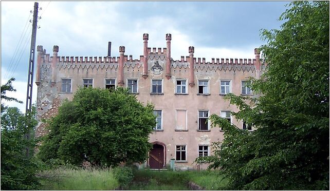 Gorzyn Palac front 2009 1, Górzyn, Górzyn 59-305 - Zdjęcia