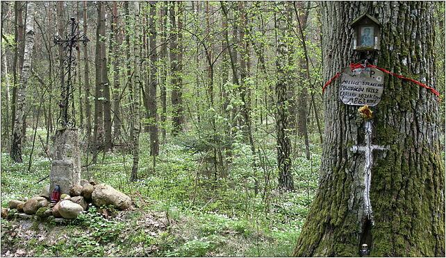 Grezowka powstanie, Nowa Gręzówka, Nowa Gręzówka 21-400 - Zdjęcia