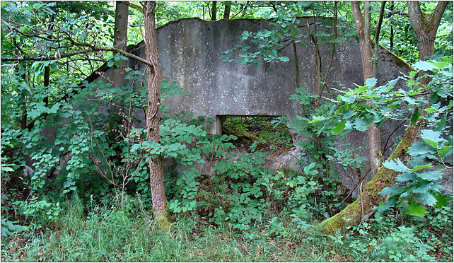 Gunice - ruiny palacyku, Gunicka, Tanowo 72-004 - Zdjęcia