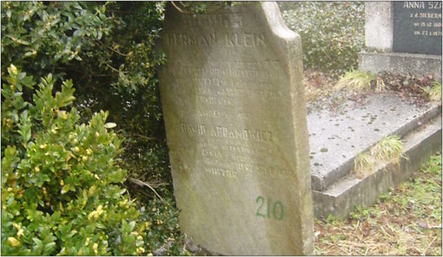 Herman Klein and Dawid Abramowicz grave, Damrota Konstantego 7c 43-300 - Zdjęcia