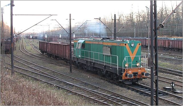IMG 2229 SM31-115, Lubelska, Zabrze 41-800 - Zdjęcia