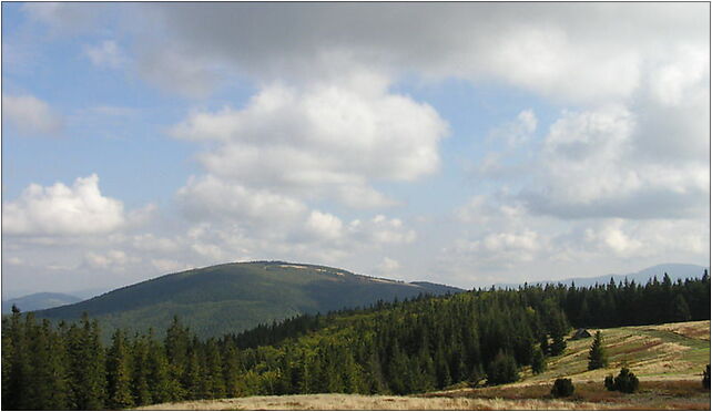 Jalowiec Widok z Lachow Gronia 2004, W Tajchu, W Tajchu 34-332 - Zdjęcia