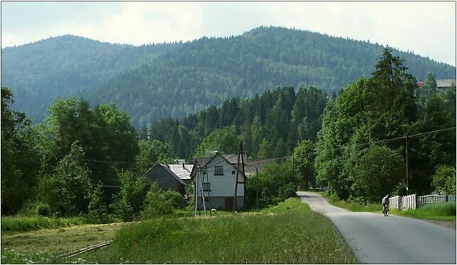 Jasień (Beskid Wyspowy) a1, Lubomierz - Zdjęcia