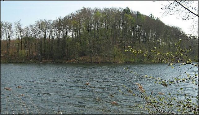 Jez-kamienica-08042801, Kamica, Kamica 78-120 - Zdjęcia