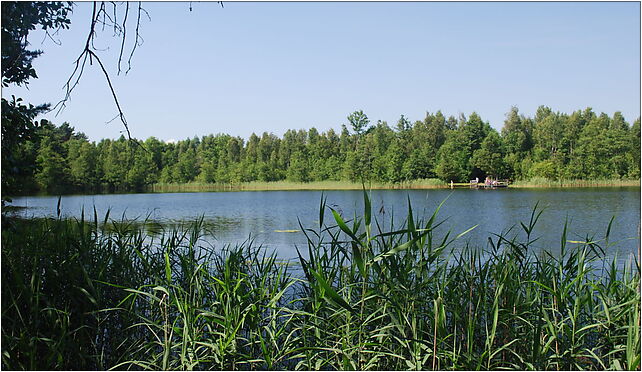 Jezioro Czarne Wigierskie 2, Podleszczewo, Podleszczewo 16-412 - Zdjęcia