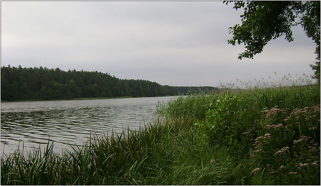 Jezioro Omulew 001a, Jabłonka, Jabłonka 13-100 - Zdjęcia