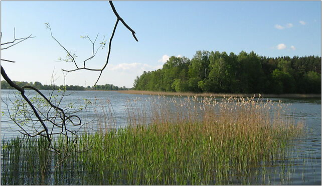 Jezioro Wierzbińskie, Wierzbiny, Wierzbiny 12-250 - Zdjęcia