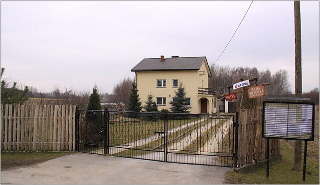 JKRUK 20090327 LAS WINIARSKI SOŁTYS IMG 8040, Posada, Posada 28-100 - Zdjęcia