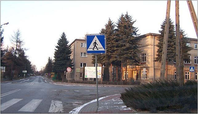 Kłaj 2008 Robinia 1 Urzędy, Kłaj, Goły Brzeg 32-015 - Zdjęcia
