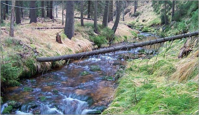 Kamionek, před ústím (01), Jakuszyce-Harrachov, Szklarska Poręba 58-580 - Zdjęcia