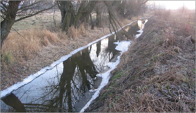 Kan. Juranda, Parkowa, Malbork 82-200 - Zdjęcia