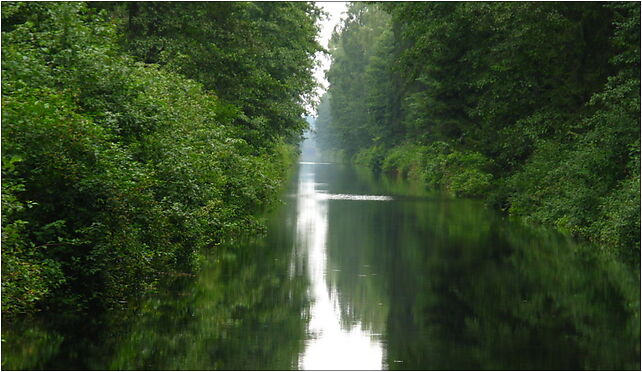 Kanal augustowski 2, Swoboda, Augustów 16-300 - Zdjęcia
