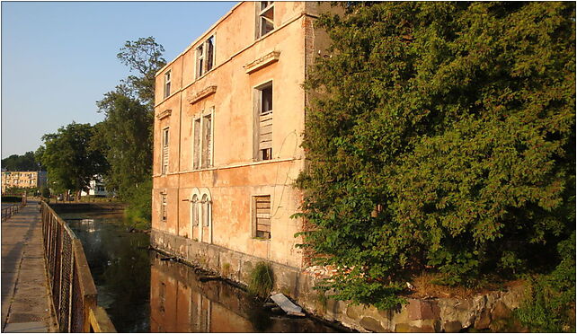 Karzniczka141, Karzniczka, Karzniczka 76-231 - Zdjęcia