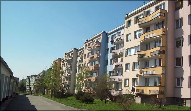Klatkowiec na ul. rodzinnej w klodzku, Traugutta Romualda, Kłodzko 57-300 - Zdjęcia