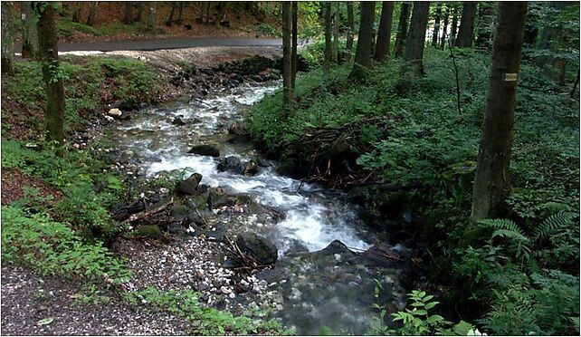 Kleśnica w rezerwacie PL, Kamienica, Kamienica 57-550 - Zdjęcia