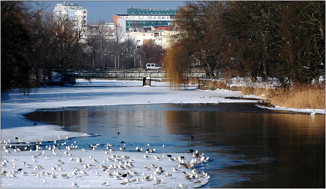 Kołobrzeg - Parsęta zimą, Budowlana 40, Kołobrzeg 78-100 - Zdjęcia