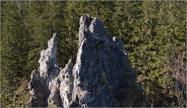 Kogutki2, Pod Skocznią, Zakopane 34-500 - Zdjęcia