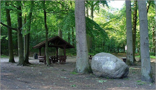 Kolowko Puszcza Bukowa pod Szczecinem glaz, Bohaterów, Kołowo 74-106 - Zdjęcia