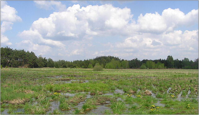 Konaty 04, Gąszcze, Gąszcze 98-405 - Zdjęcia