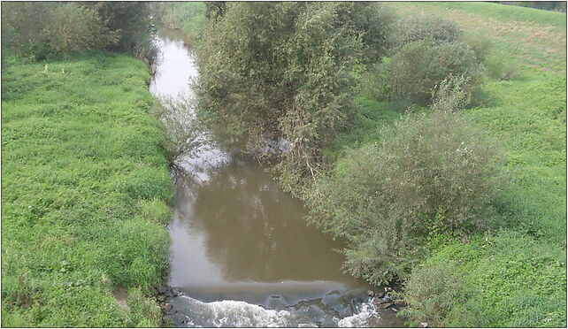 Koprzywianka-w Złotej (pow Sandomierski), Krakowska, Sandomierz 27-600 - Zdjęcia